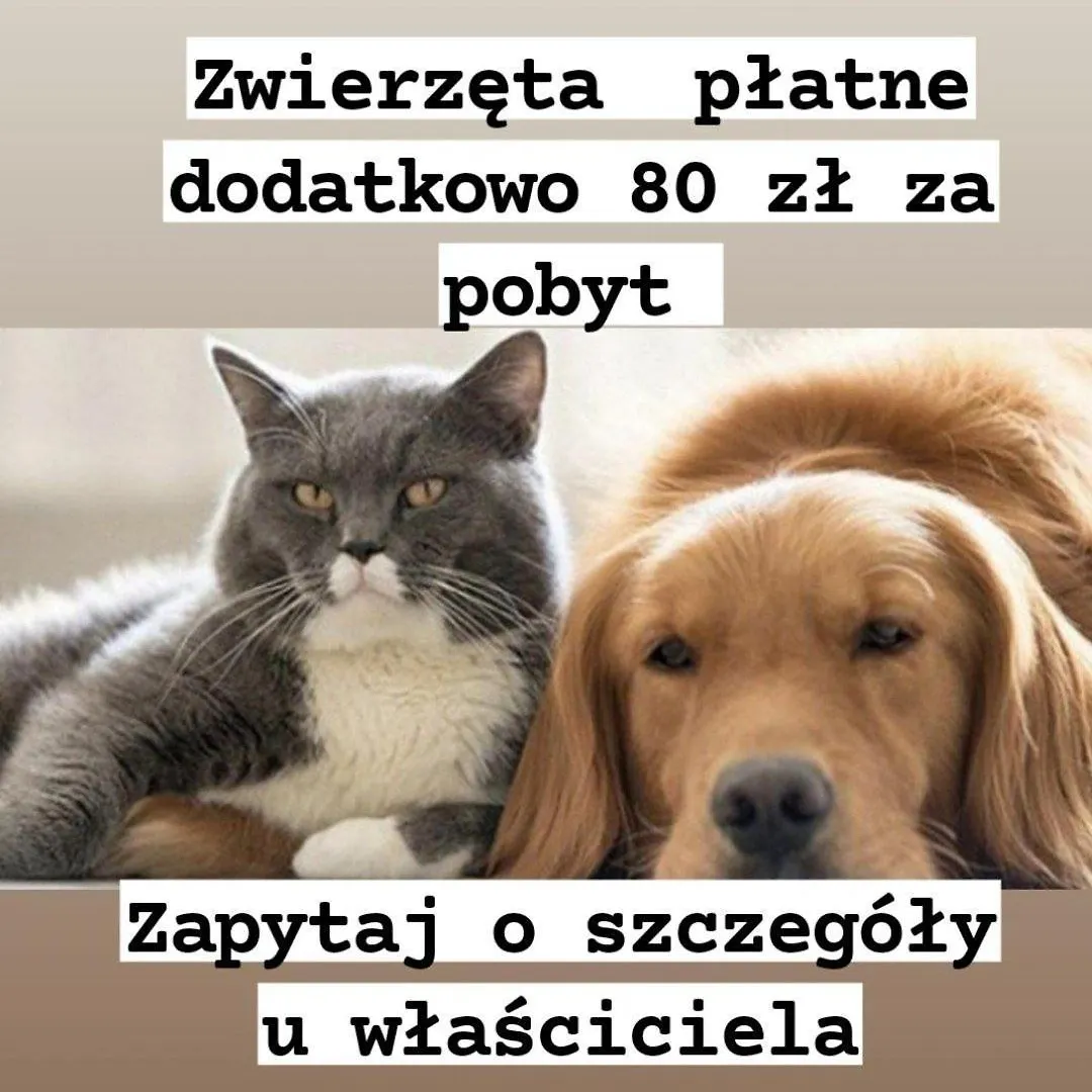 5Centrum Stanislawa Moniuszki10 Wi-Fi 1Gb Sek Warszawa